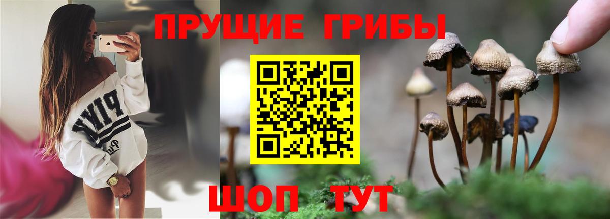 Дивногорск  Галлюциногенные грибы Cubensis  Вход с VPN  Псилоцибиновые грибы Magic Shrooms 